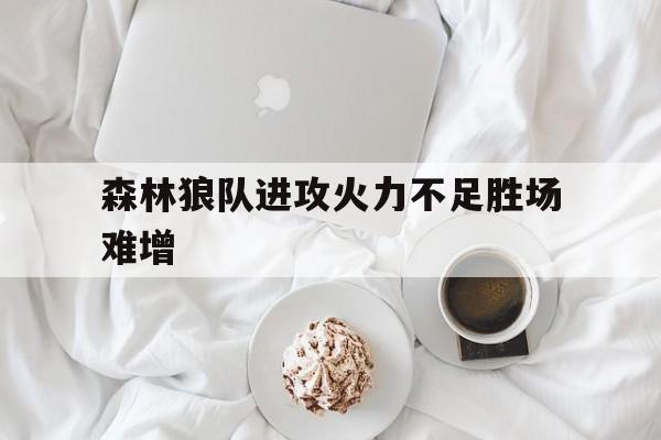 森林狼队进攻火力不足胜场难增的简单介绍
